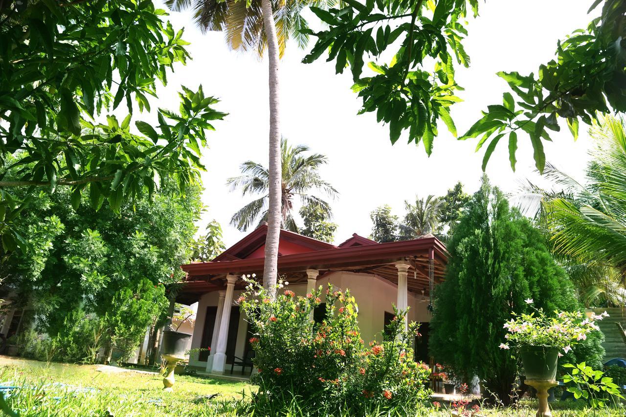 New Vilard Tissamaharama Exterior foto